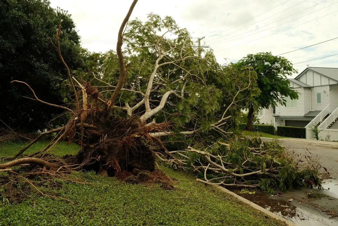 Storm Damage Restoration in 30078 Snellville, GA