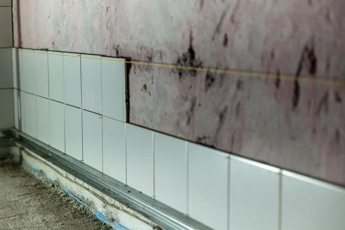 Mold After Water Damage