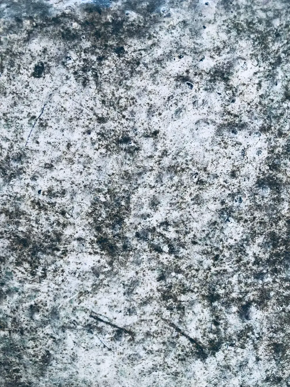 Mold Remediation in 30039 Snellville, GA