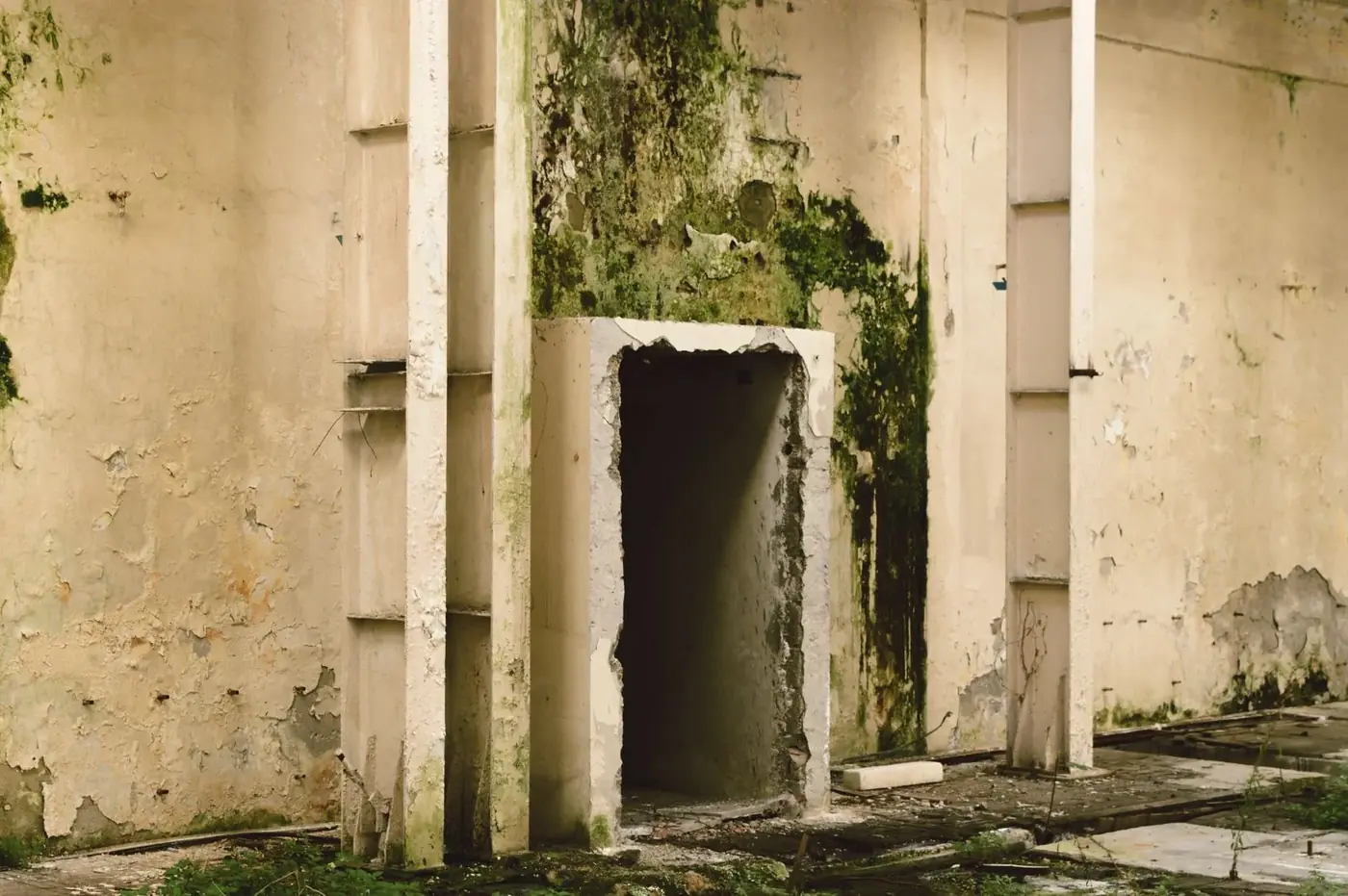 Mold Remediation in 30044 Lawrenceville, GA