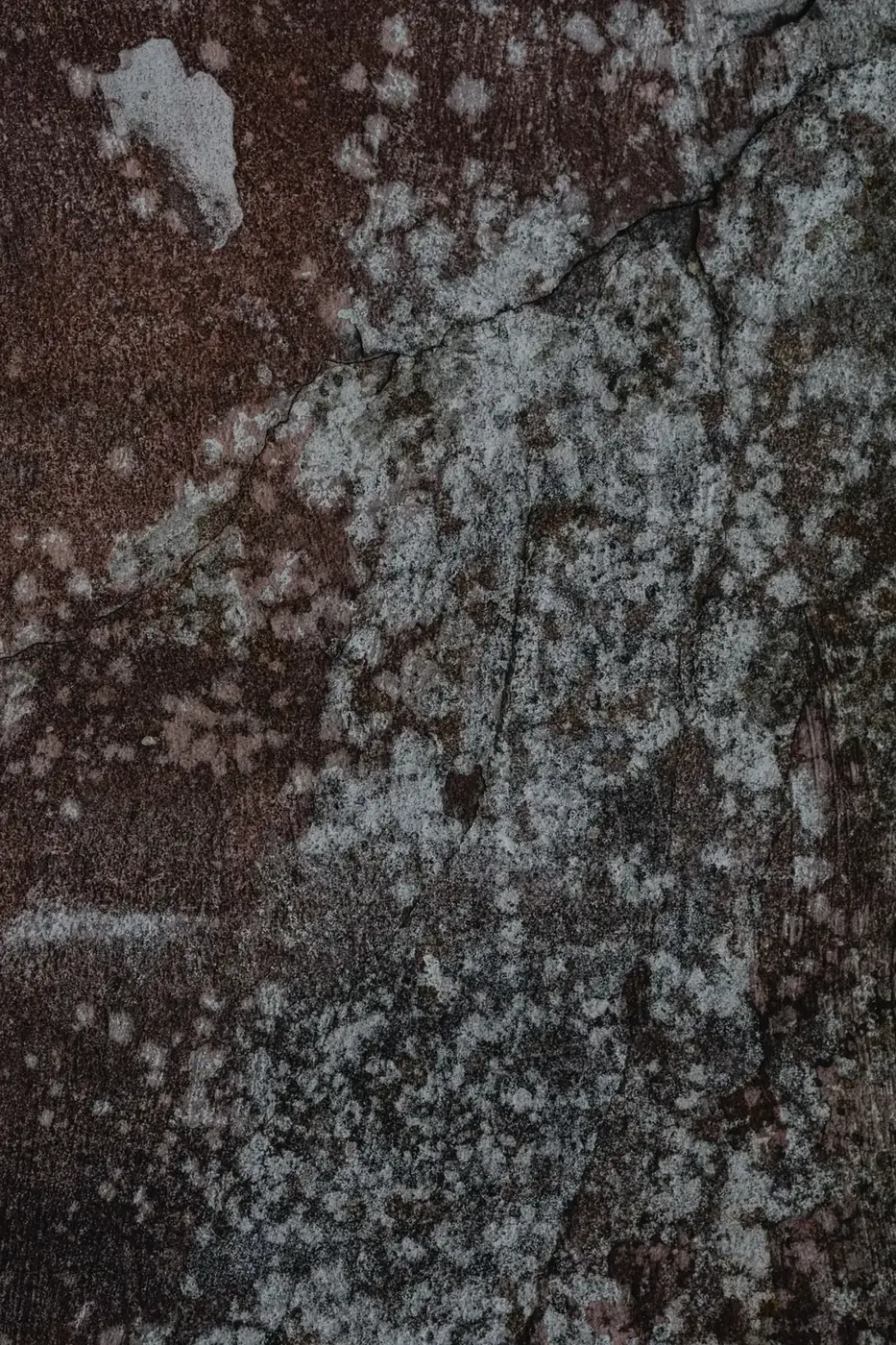 Mold Remediation in 30046 Lawrenceville, GA