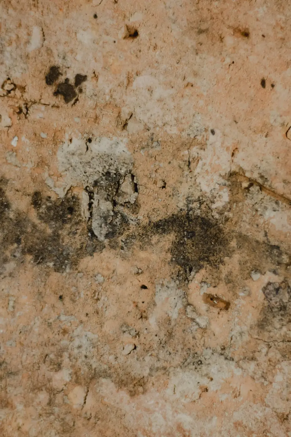 Mold Remediation in 30084 Tucker, GA