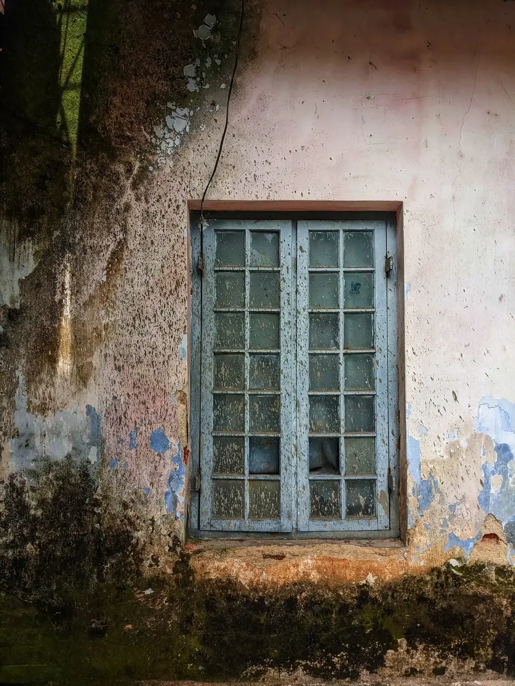 Mold remediation and removal in a Lilburn, GA property