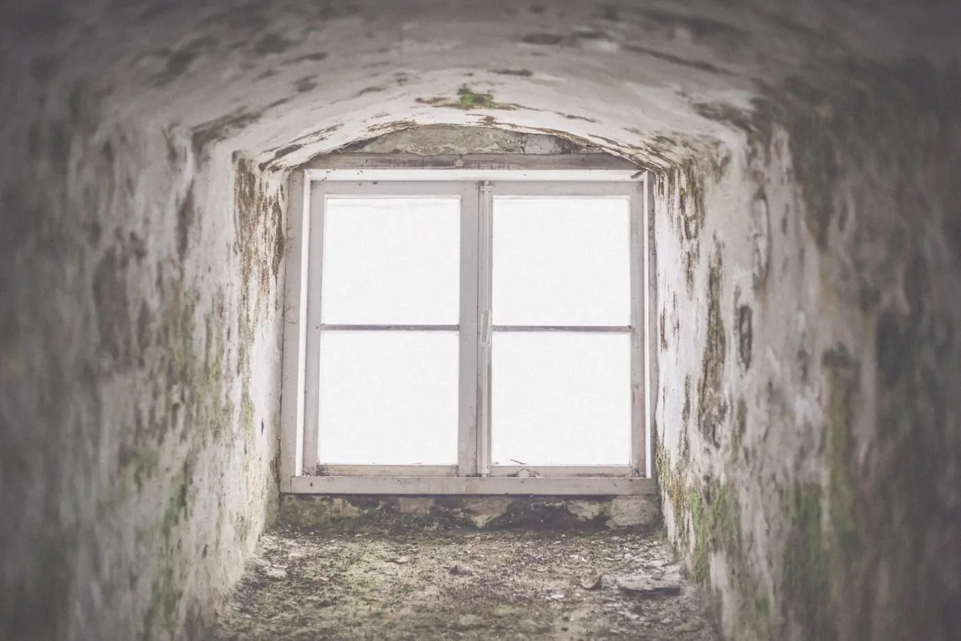 Mold Remediation & Removal in Stone Mountain, GA