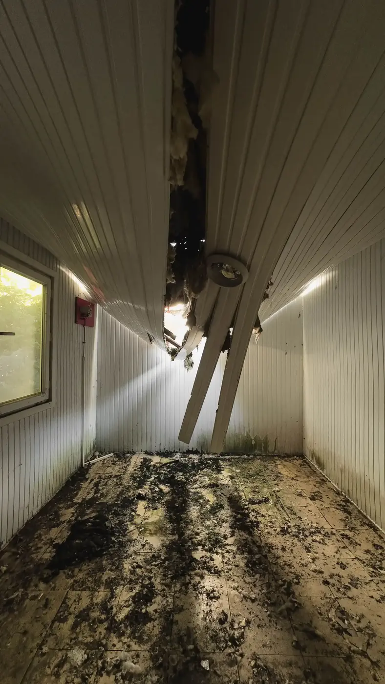 Water Damage Resources & Blog
