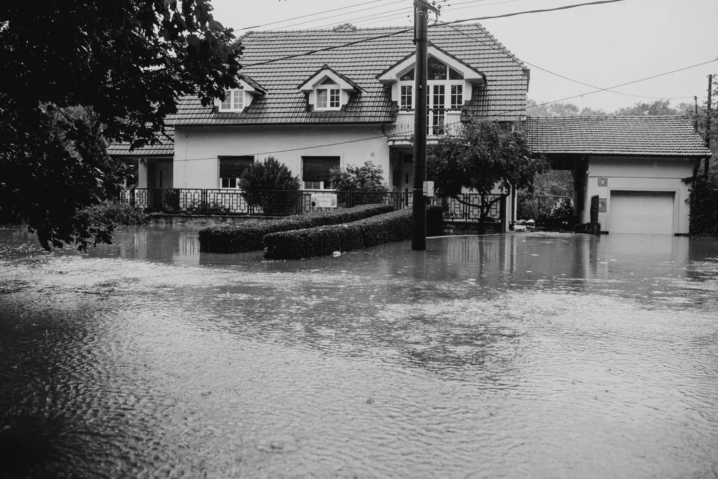 Ceiling Water Damage Guide