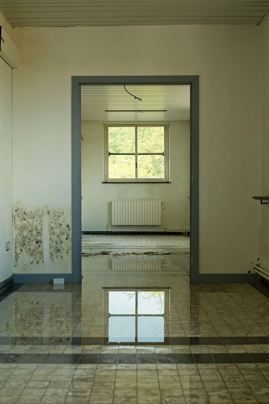 Water Damage Restoration vs Water Mitigation