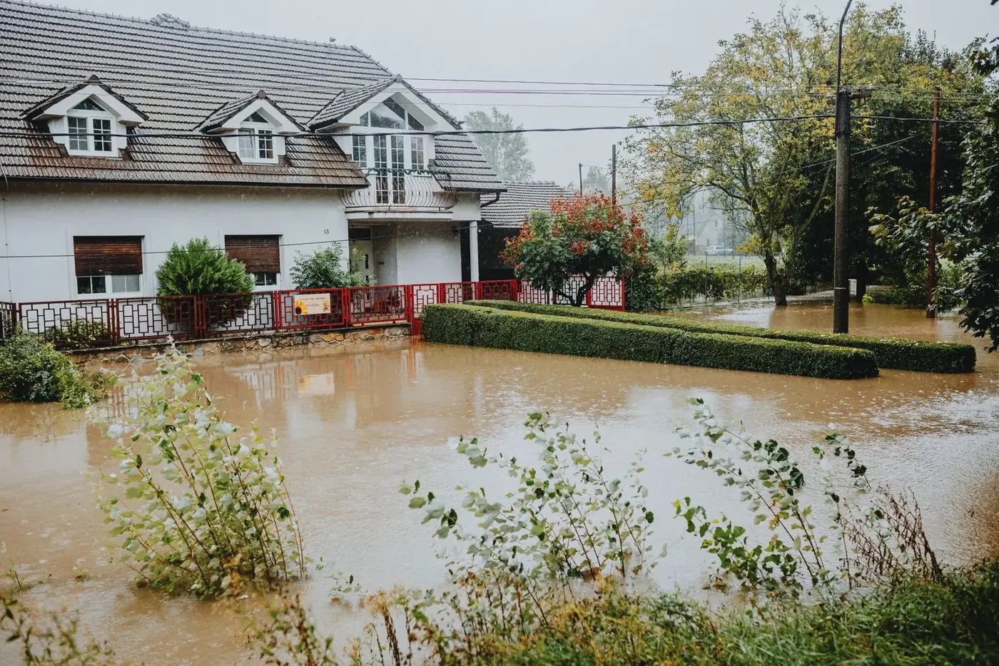 What to Do After Water Damage